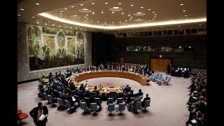 UN Security Council unanimously adopts resolution on Syria ceasefire (Streamed Live)