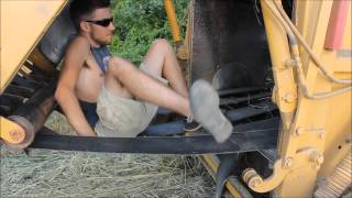 Baling Oats