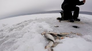 Открытие сезона зимней рыбалки 2018-2019!