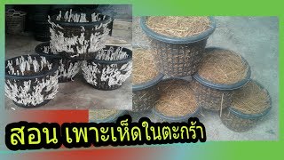 เห็ดโคนน้อย ในตะกร้า แบบง่าย เข้าใจง่าย| Ep.54