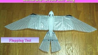 Falcon 30iVV2 : Flapping Test