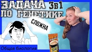 Комбо-задача по генетике 3 в 1! Урок биологии №71.