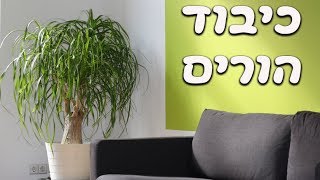 בוגרים - 17.5.17 - מעלת כיבוד הורים (הרב רביד נגר)