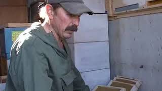 Любительское пчеловодство в кочевых павильонах Можейко Владимир