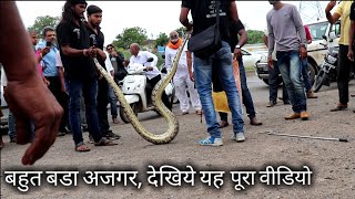 बहुत बडा और घुस्से वाला अजगर, पूरा वीडियो देखिये | Rescue indian rock Python from Ahmednagar