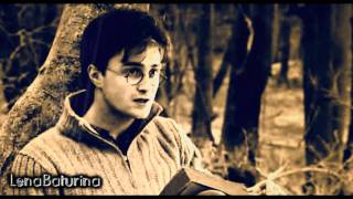 Harry and Hermione — Her the best friend