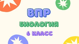 ВПР 2019 биология 6 класс