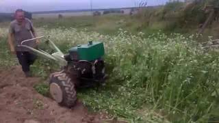 Вспашка земли (гречки) мотоблоком ЗУБР