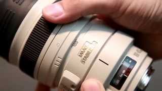 A Review of the Canon 100-400mm MKI L Series Lens - Sample Video & Images