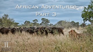 Africa Adventures Part 3- the LION HUNT, safari to Kruger National Park by Jason Lanier