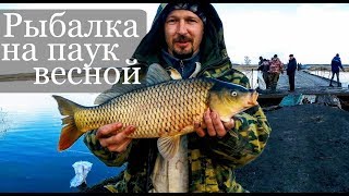 Рыбалка на паук 2019. Рыбалка на карася. Подъемник паук самодельный ловит рыбу! Щука или смерть