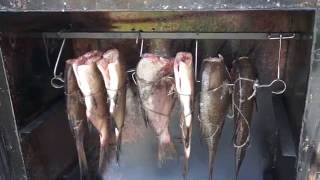 Коптильня холодного и горячего копчения для мяса и рыбы своими  рука, smoking of fish.