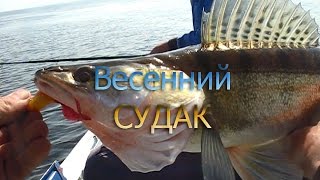 Рыбалка спиннингом . Ловля судака весной. 19.04.2016.