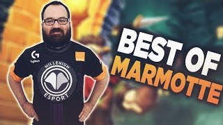 Best of Marmotte - Hearthstone Funny & Lucky Moments