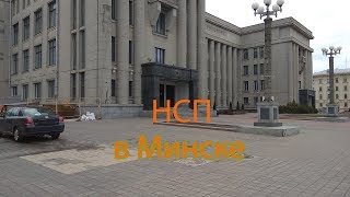 Где и Как купить продукцию НСП в Минске