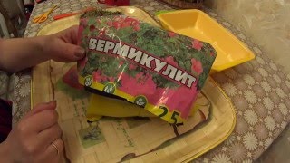 Выращивание рассады в ВЕРМИКУЛИТЕ!!!