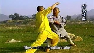 Shaolin Kung Fu: Da Hong Quan fighting techniques (read description)