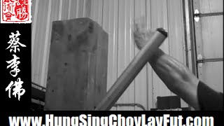 Choy Lay Fut Kung Fu Training Motivation