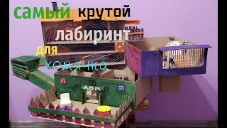 ЛАБИРИНТ ИЗ КАРТОНА ДЛЯ ХОМЯКА, ОГРОМНЫЙ ЛАБИРИНТ СВОИМИ РУКАМИ (the best maze for hamster)