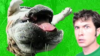 UGLY PUPPY!!!