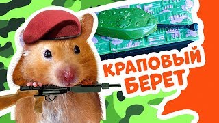 Полоса препятствий лабиринт для хомяков своими руками DIY / МаусХаус