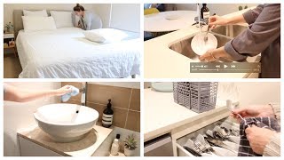 Daily Cleaning Routine