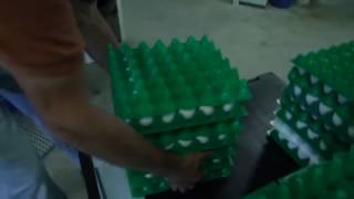 Where can I buy farm fresh eggs?