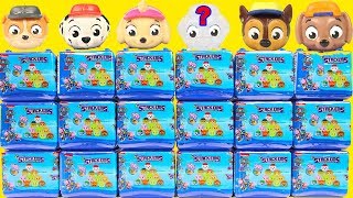 NEW Paw Patrol Mashem Stackems Sea Patrol Pups - Squishy Surprise Toys with Chase Skye