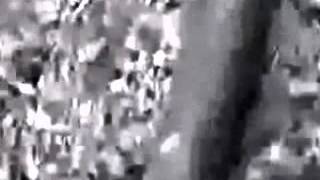 Mishele Женские Куртки И Пуховики [Mishele Женские Куртки]