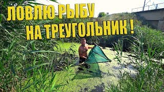 ЛОВЛЮ РЫБУ НА ТРЕУГОЛЬНИК В БОЛОТЕ! Много змей!