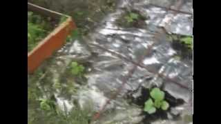 Мой огород - Дыни Арбузы Лагенарии (2) /My Garden - Melons Watermelons Lagenaria