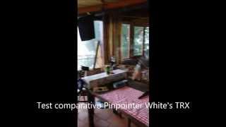 Test Pinpointer White's Bullseye TRX VS Garrett Propointer VS Nokta RS Pinpointer