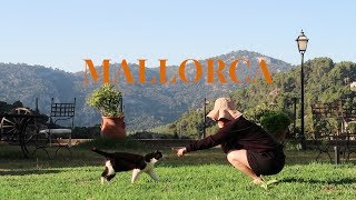✌? travlog 여행로그 MY SPAIN in Mallorca 스페인여행 마요르카 ?notebook보경