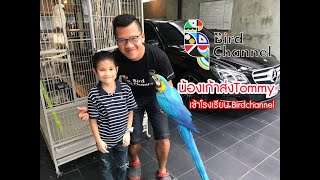 น้องเก้าส่งTommy เข้าโรงเรียนฝึกนกบินอิสระ - Welcome To BirdChannelThailand School
