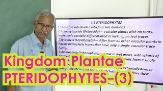 Kingdom Plantae (NCERT)  PTERIDOPHYTES-(3)