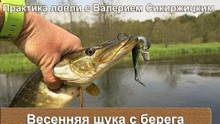 Весенняя щука с берега : Практика ловли с Валерием Сикиржицким