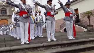 El Batallón gris del Colegio San José de los Infantes 2014