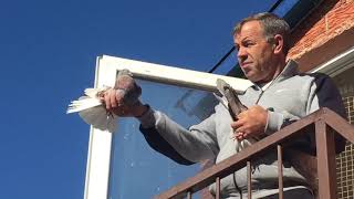 ? Часть 1 - Ветер Юго-Восток. Подкидываем Николаевских голубей. Николаевские голуби 2018 Украина.