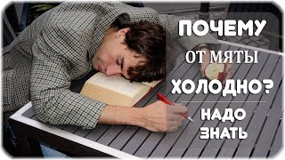 Почему, когда скучно, хочется спать?
