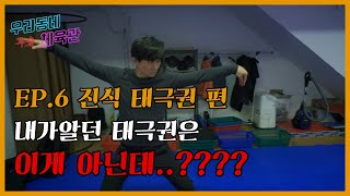 태극권이 실전에서 쓸모없다고 누가 그래? 태극권의 추수를 알면 그런 말 못하지!! 우리동네 무술 체육관 제6탄 진식태극권 편 ㄷㄷㄷ