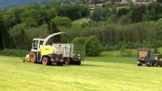 MBtrac 1100 mit Fliegl ASW und Claas Jaguar am Grashäckseln [HD]