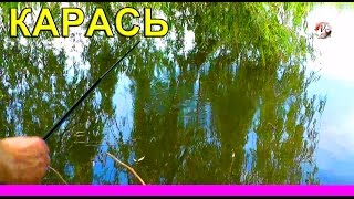 Весна. КАРАСЬ. Поклевка КАРАСЯ. Ловля на озере на поправочную удочку. Fishing. Рыбалка, ПОПЛАВОК