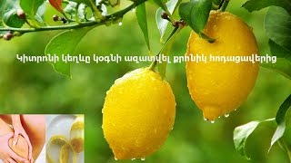 Կիտրոնի կեղևը կօգնի ազատվել քրոնիկ հոդացավերից