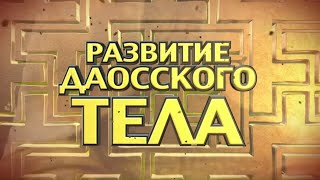 ЧОМ. Лекция 'Развитие Даосского тела. Часть 1. НАСТРОЙКА'