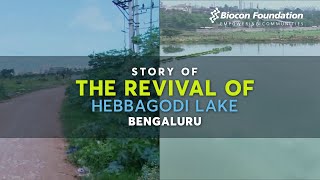Story of the Revival of Hebbagodi Lake in Bengaluru by Biocon Foundation