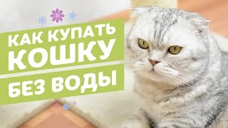 Сухой шампунь для котов в виде спрея 8в1 / 8in1 Perfect Coat Waterless Shampoo
