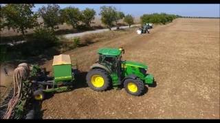Wheat Seeding in Bulgaria
