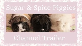 Sugar & Spice Piggies Channel Trailer