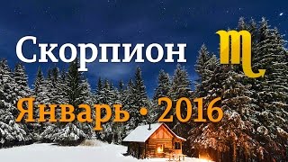 Скорпион, гороскоп Таро на январь 2016