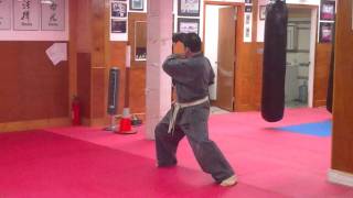 Jyoshinmon Shorin Ryu-Pinan Sandan